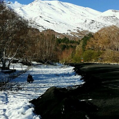 Profile Picture of Miriam Toledo (@MiriamtoledoMt) on Twitter