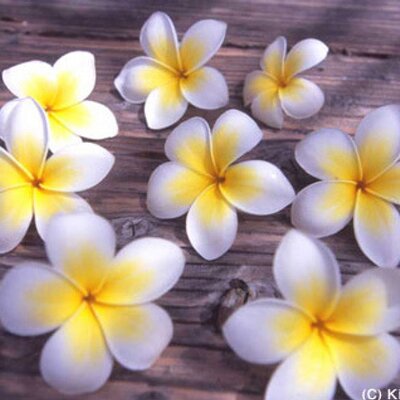 Profile Picture of Isabelle Parker (@BellePark91) on Twitter