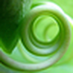 Profile Picture of Focus.locus (@focus.locus) on Flickr