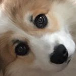 Profile Picture of Mitchell Perkins (@alotoflava) on Instagram