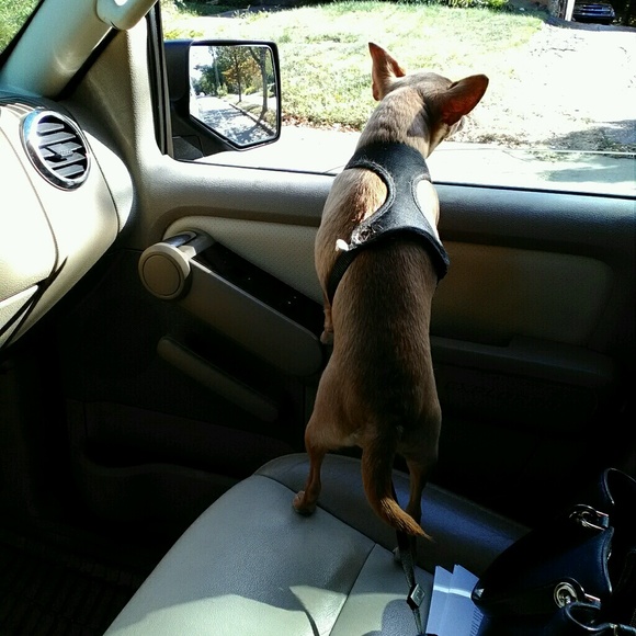 Profile Picture of Alice Parker (@redd_nc) on Poshmark