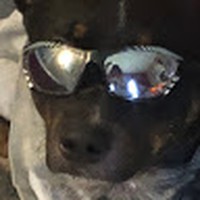 Profile Picture of Taylor Tolson (@taylor-tolson-3) on Quora