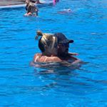 Profile Picture of jermaine (@jermaine_newton) on Instagram