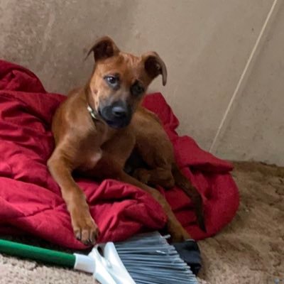 Profile Picture of Haley Parrott (@ParrottHaley) on Twitter