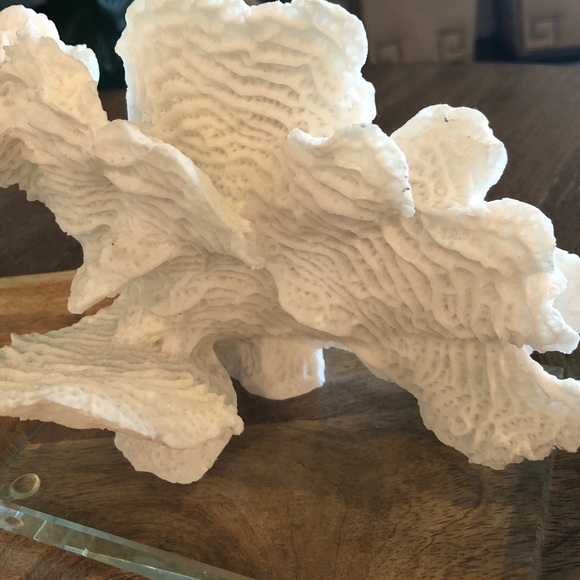 Profile Picture of Stacey Strollo (@ss7018) on Poshmark