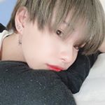 Profile Picture of 山本 琉伊 (@ruipan0529) on Instagram