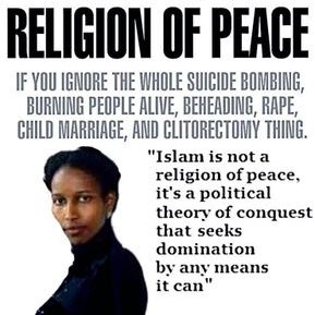 Profile Picture of Mike Capone (@Mikecapone16) on Twitter