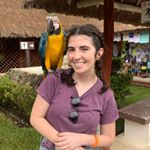 Lee Molloy - Instagram Profile Picture of Lee Molloy (@leelerss) on Instagram