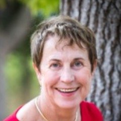 Profile Photo of Diane Foster, MA (@dianefostermcc) on Twitter