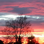 Profile Picture of Lisa Yates (@yatesld) on Youtube