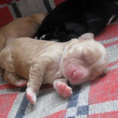 Profile Picture of Lorena Mantilla Ruiz (@Lomaru69) on Twitter