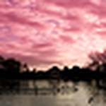 Profile Picture of Jason Richardson (@jasonkanerichardson) on Flickr