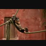 Profile Picture of Aimee Chaney Rules (@awsomeaimeechaney) on Instagram