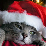 Profile Picture of Doris Jones (@dorisjones7730) on Youtube