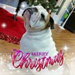 Profile Picture of Dennis Morrissey (@dennis.morrissey.98) on Instagram