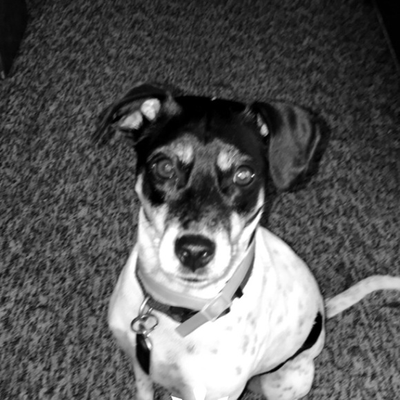 Profile Picture of Reilly Allen (@reillylynne7) on Poshmark