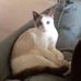 Profile Picture of Nancy Keiser (@nancy.keiser) on Facebook