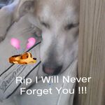 Profile Picture of Tamara Hampton (@tamarahampton4374) on Instagram