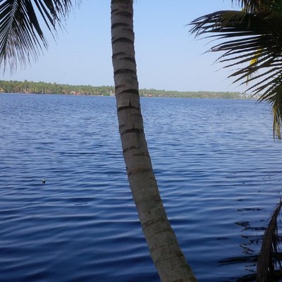 Profile Picture of Ken Dial (@aboudial10) on Twitter