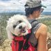 Profile Picture of K9 Sport Sack Dog Carrier Backpack (@k9sportsack) on Pinterest