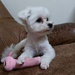 Profile Picture of Chiu-jung Huang (@huangchiujung) on Instagram