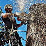 Profile Picture of Joshua Bickell (@bickelljoshua) on Instagram