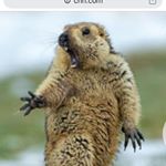 Profile Picture of Stephen Spear (@spear.stephen) on Instagram