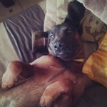 Profile Picture of Wayne McMillian (@anglecian) on Instagram