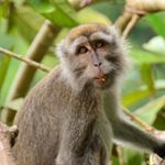 Profile Picture of Andrew Pearce (@andrewpearce5000) on Instagram