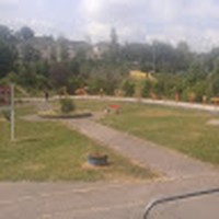 Profile Picture of Lorraine Higgins (@lorraine-higgins-24) on Quora