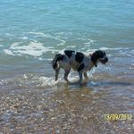 Profile Picture of Peter Gallacher (@gallacherpeter) on Instagram