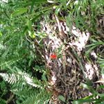 Profile Picture of Caitlin Yates (@photo.graphyates) on Instagram