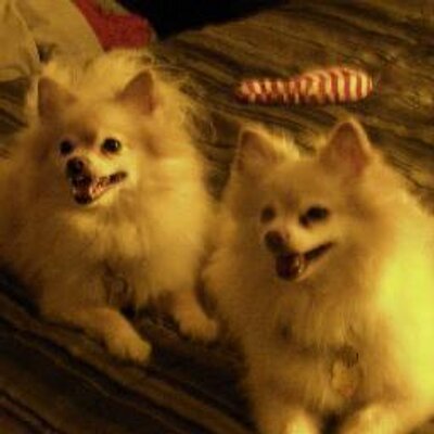 Profile Picture of Daniel Doody (@doodydaniel) on Twitter