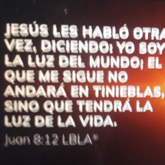 Profile Picture of Nestor Laura (@nestor.laura) on Tiktok