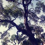 Profile Picture of Alex bozeman (@bozeman.alex) on Instagram