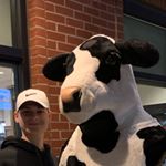 Profile Picture of Stephen S. 🐄 (@sutherland_stephen) on Instagram