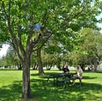 Profile Picture of Jeremy Hawkinson (@jeremy.hawkinson.2025) on Facebook