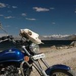 Profile Picture of Steve Harkness (@steve.harkness) on Instagram