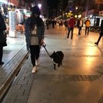 Profile Picture of mahya (@fatta_mah) on Instagram