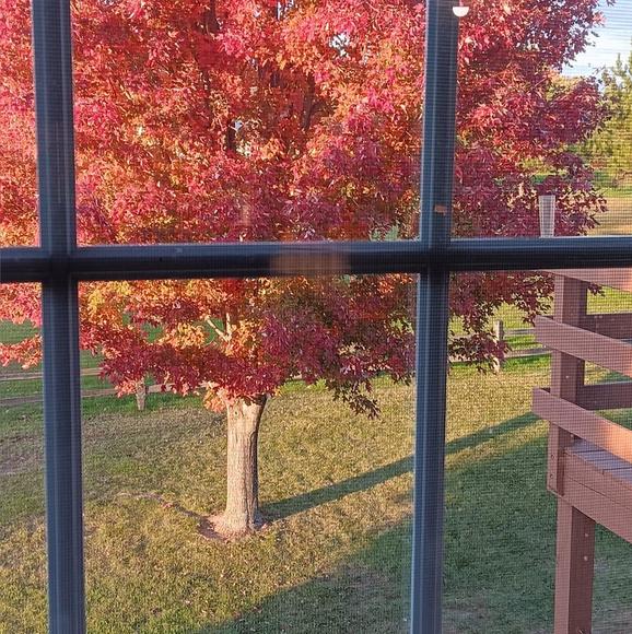 Karen Spurgin - Poshmark Profile Picture of Karen Spurgin (@karenspurgin) on Poshmark