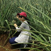 Profile Picture of Sai Yu (@saiyu6150) on Youtube