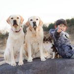 Profile Picture of Lisa Nishimura (@lisandc) on Instagram