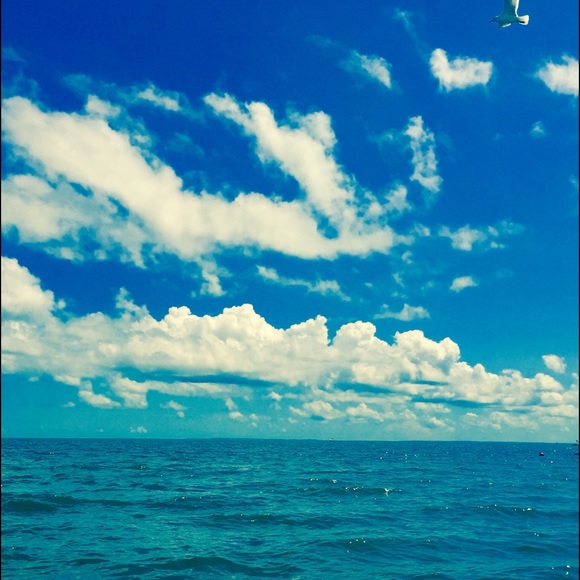 Profile Picture of Annie Darling (@adarlingg23) on Poshmark