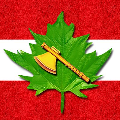 Profile Picture of Chinar Corps - Indian Army (@ChinarcorpsIA) on Twitter