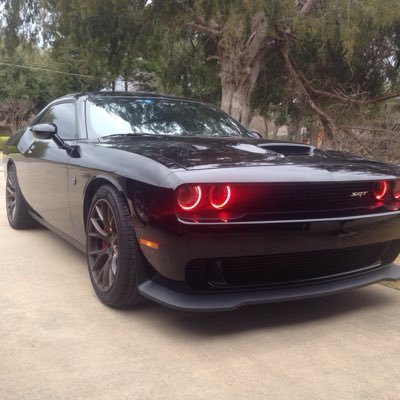 Profile Picture of Davidhertzog (@hertzog_david) on Twitter