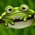 Profile Picture of Kirby Puddlehopper (@kirby.puddlehopper) on Facebook