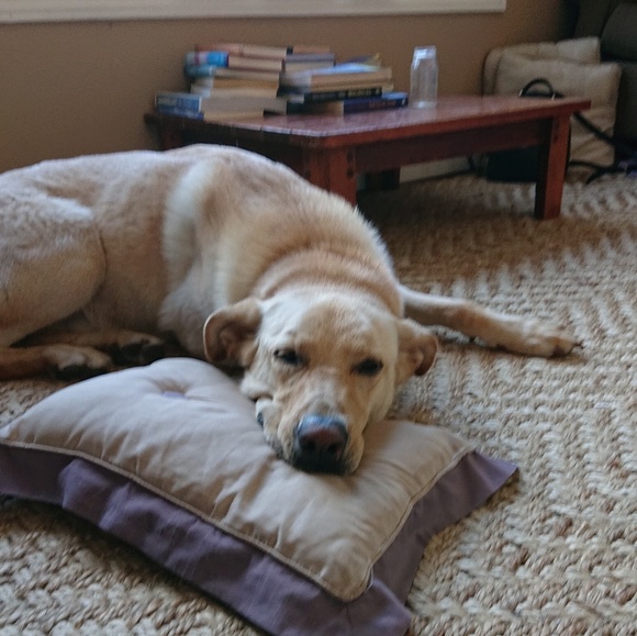 Yen Maslen - Poshmark Profile Picture of Yen Maslen (@yen402) on Poshmark