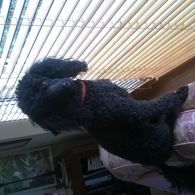 Profile Picture of Eleanor Moore (@Eleanortmoore) on Twitter