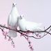Profile Picture of My Ly Nguyen (@myly.nguyen.165) on Facebook