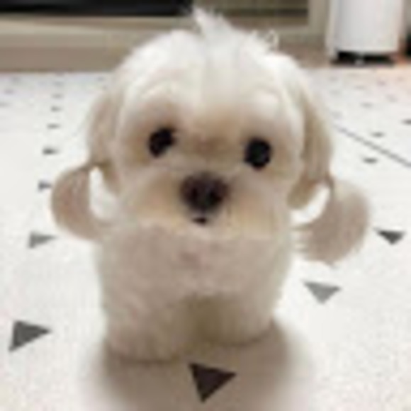 Profile Picture of Christabelle Rezeki (@christabelle_r) on Poshmark